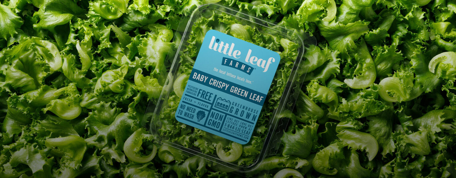 Little Leaf Farms Big Salad Energy campaign creative
