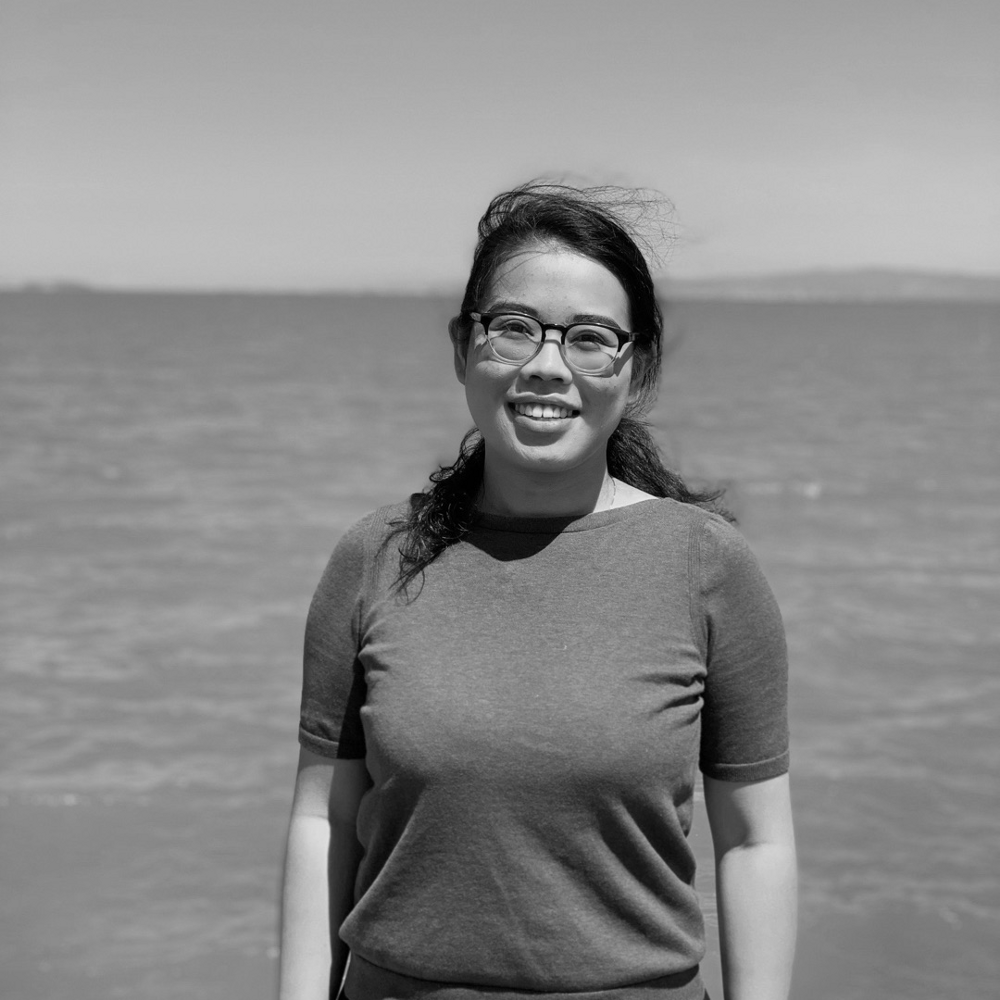 Ada Lingzi Liu