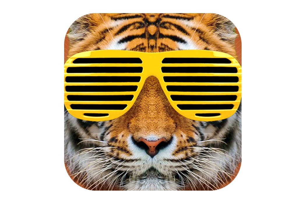 The School Gossip App That Had to Learn to Listen