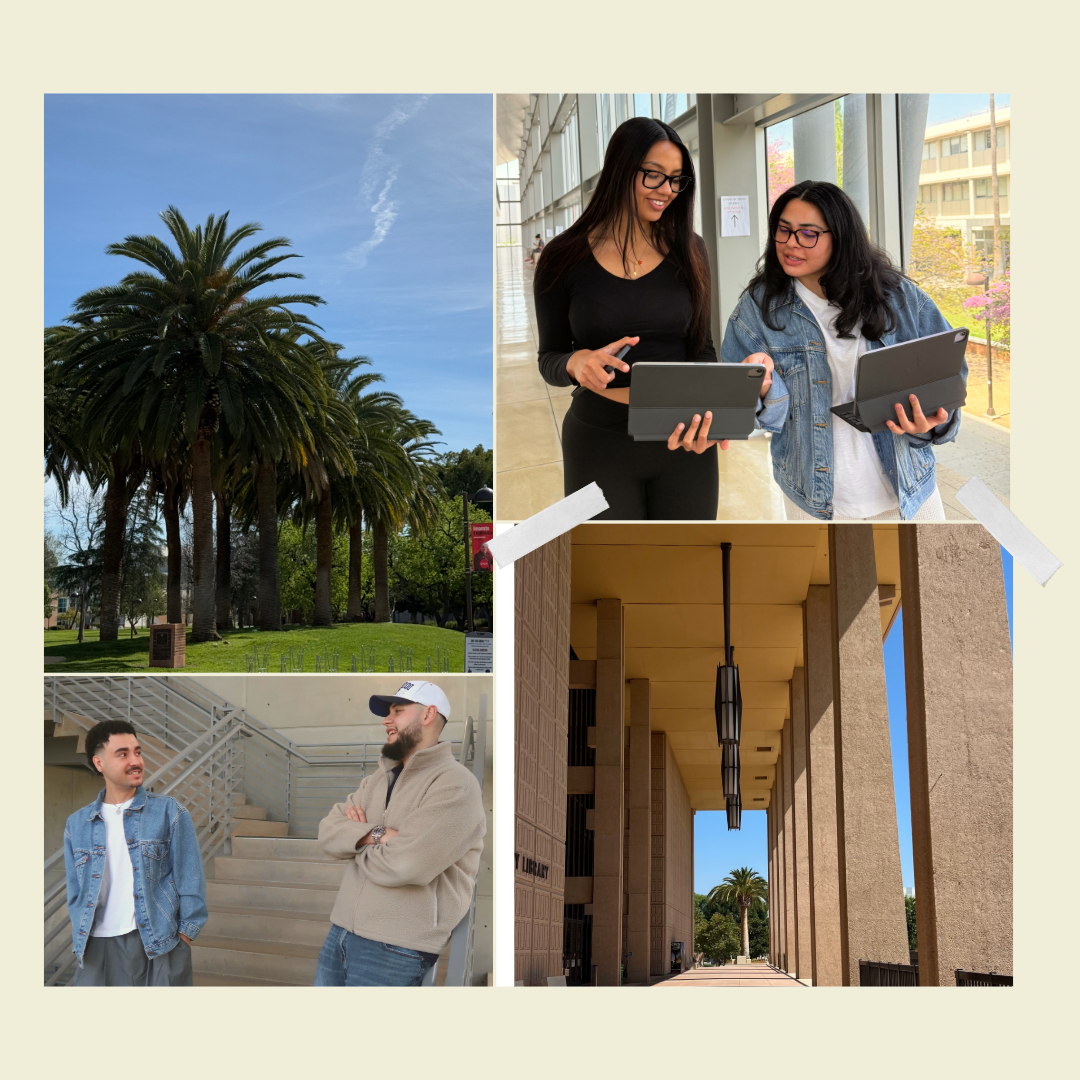 Agency 398 website collage showing students with tablets, campus palms and university walkways