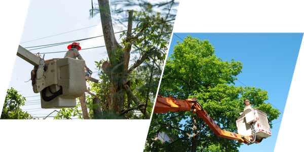 AiDASH product-page photograph showing utility vegetation crews working from elevated buckets beside trees