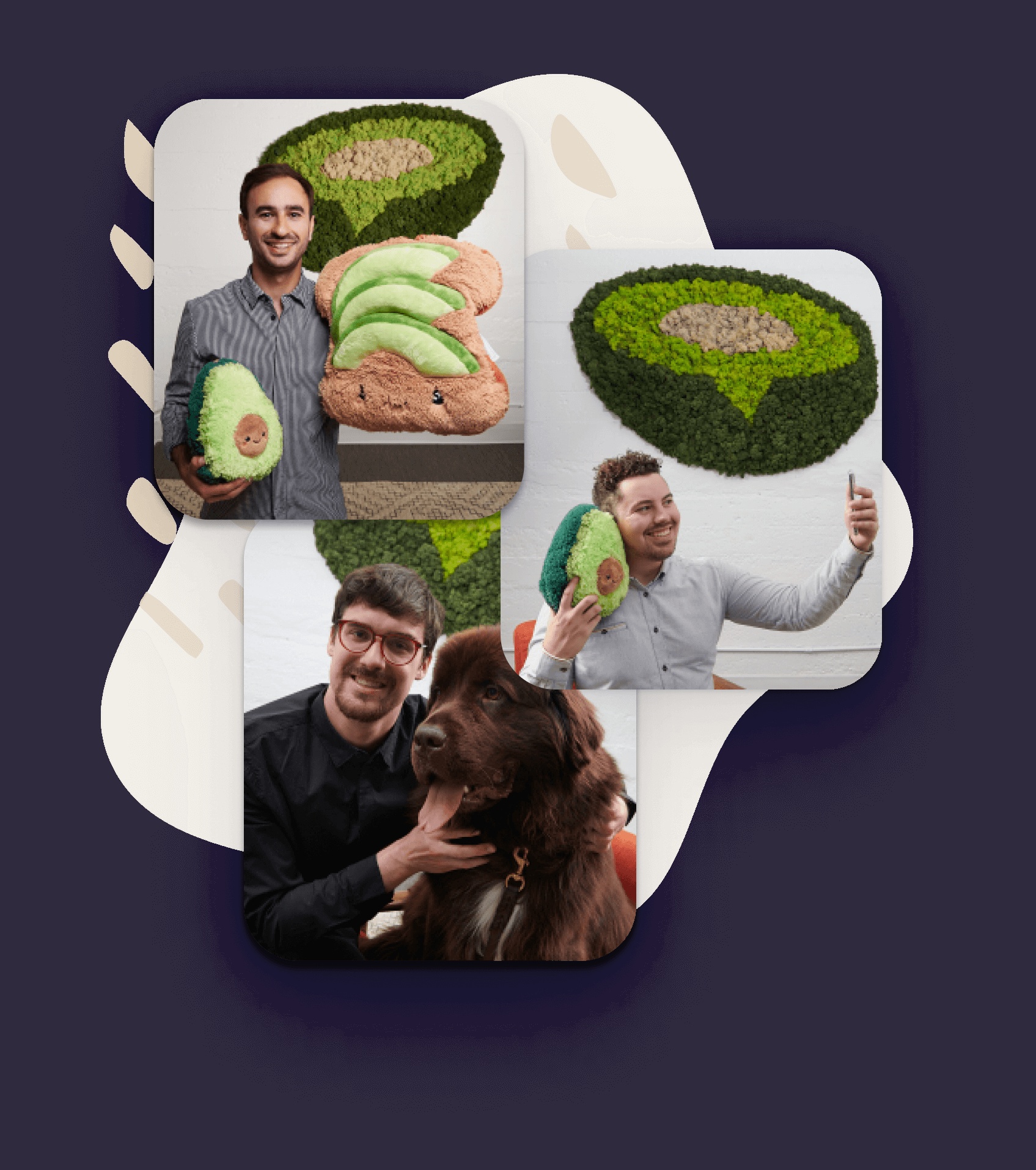 Avochato founders’ collage, with Alex De Simone at upper left holding avocado props