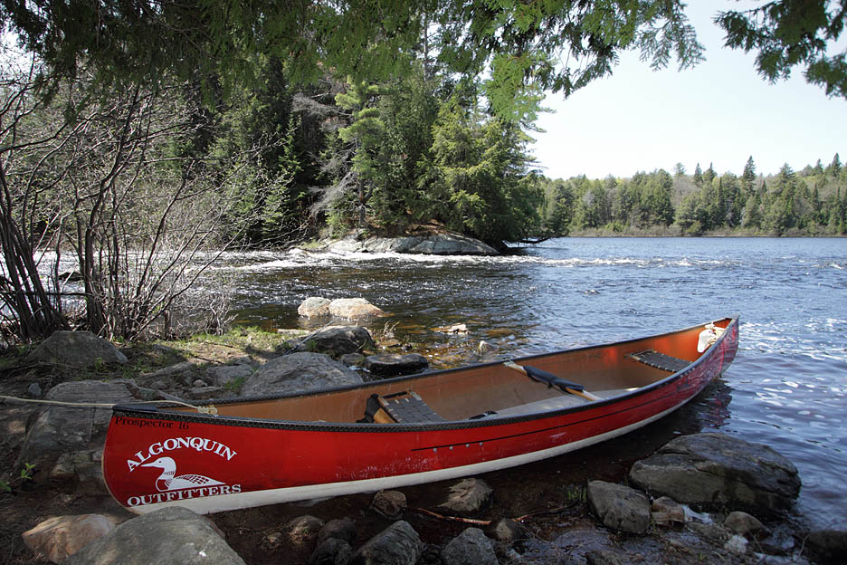A red canoe resting at the edge of an Algonquin Park lake