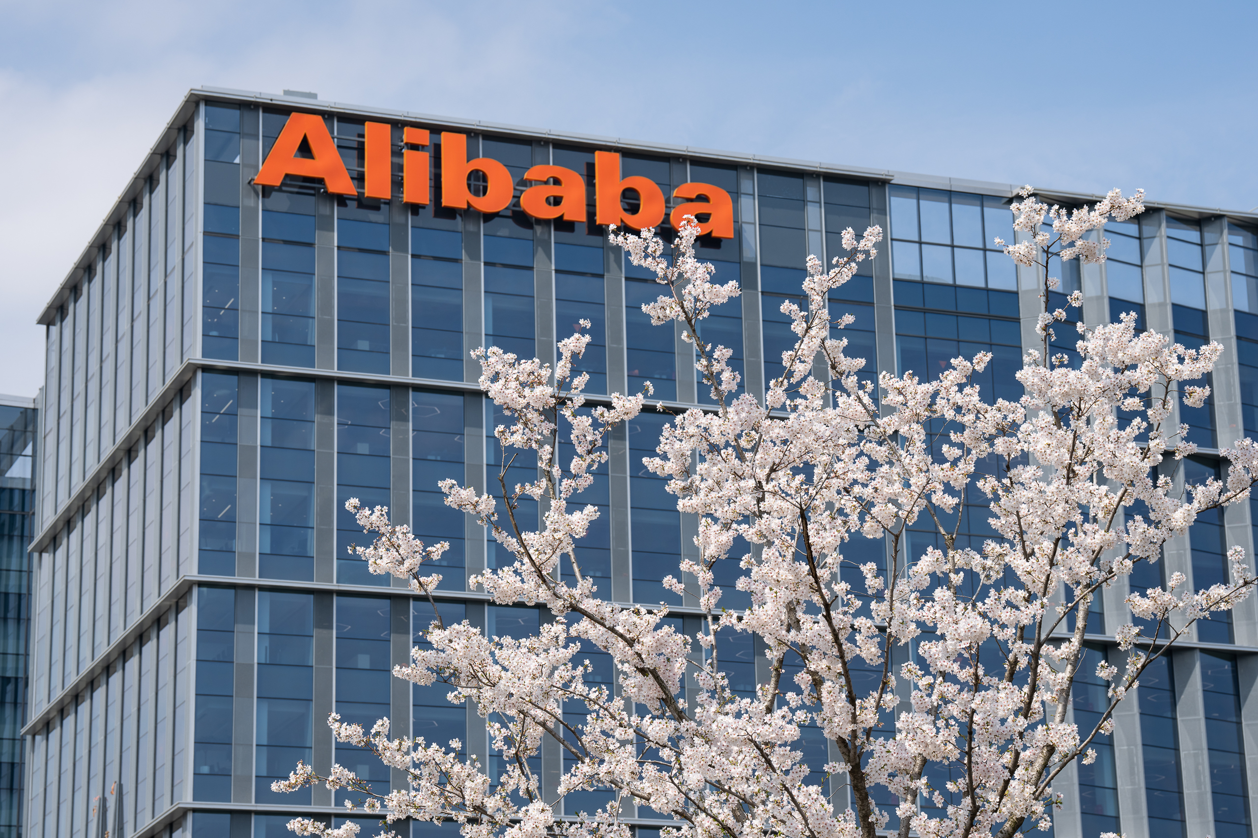 Flowering trees in front of an Alibaba office building at the Xixi campus in Hangzhou