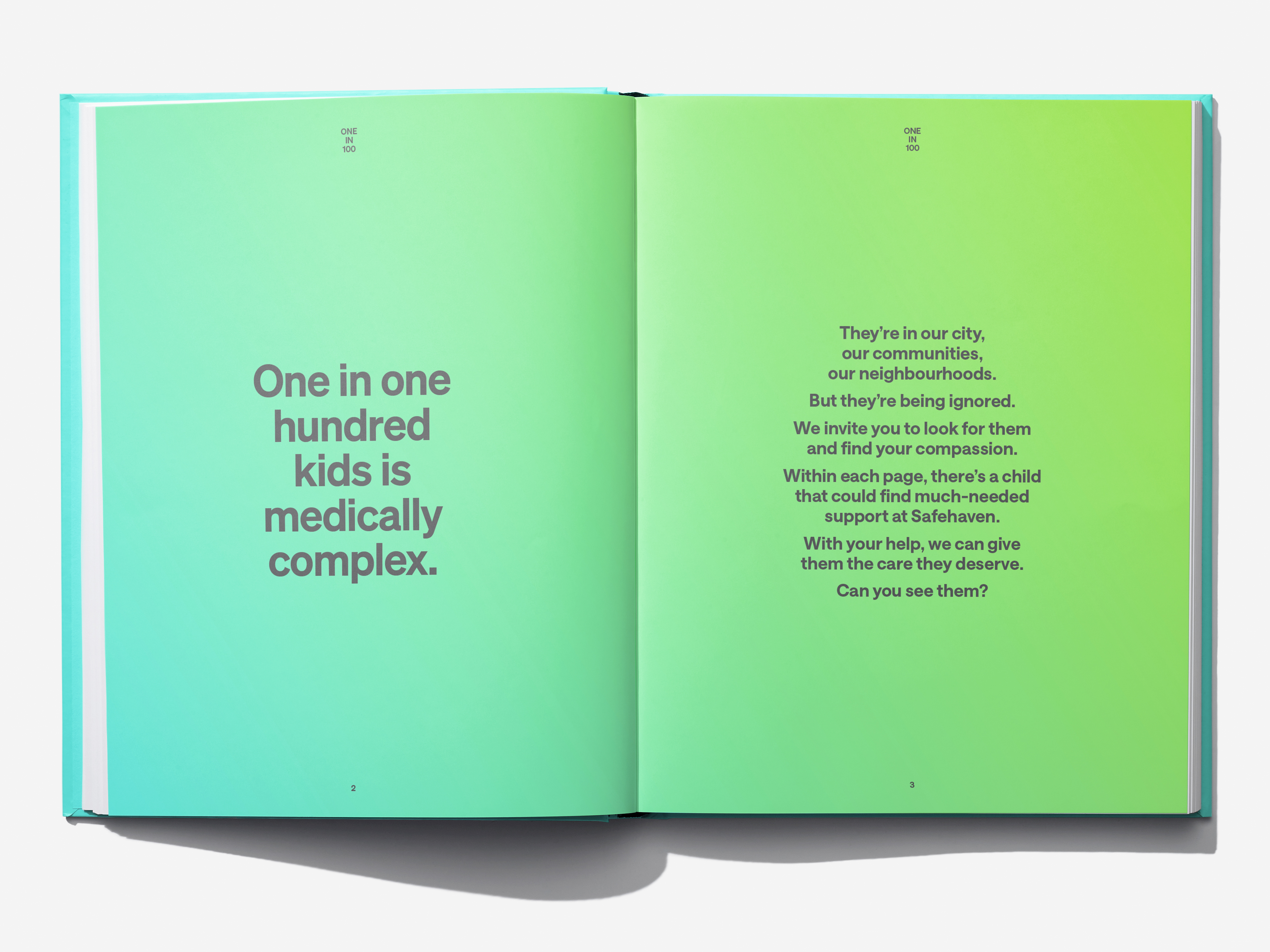 Open pages from the illustrated One in 100 campaign book, with a short statement on the left and a detailed Toronto street scene on the right