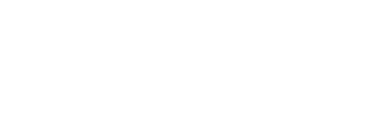 Alium company logo