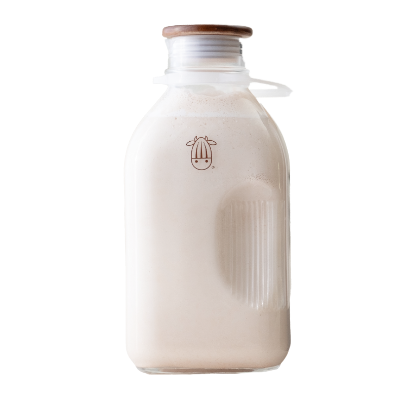 Almond Cow reusable glass jug