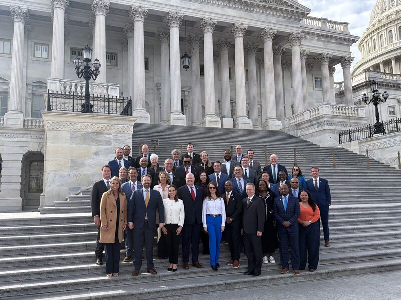 Members of the Alpine Group team standing together on the steps inside the United States Capitol