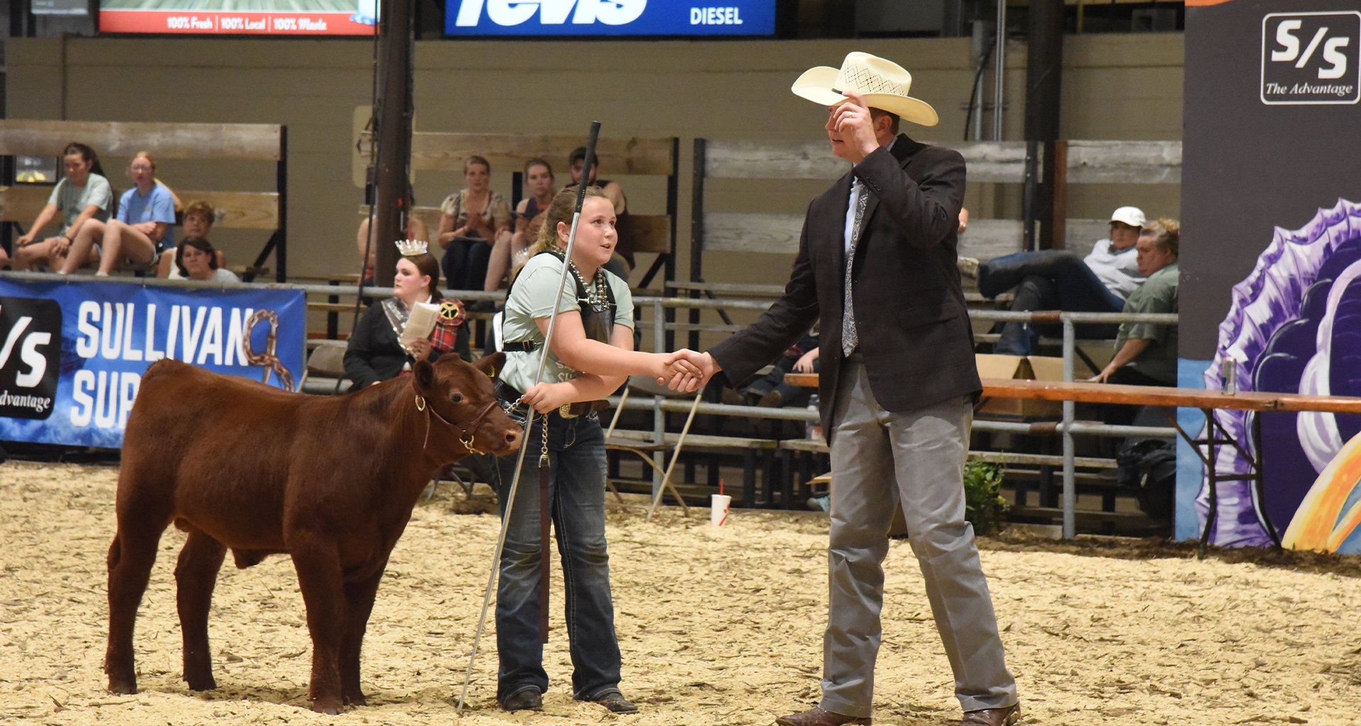 A junior Shorthorn exhibitor shaking hands with a judge in a show ring
