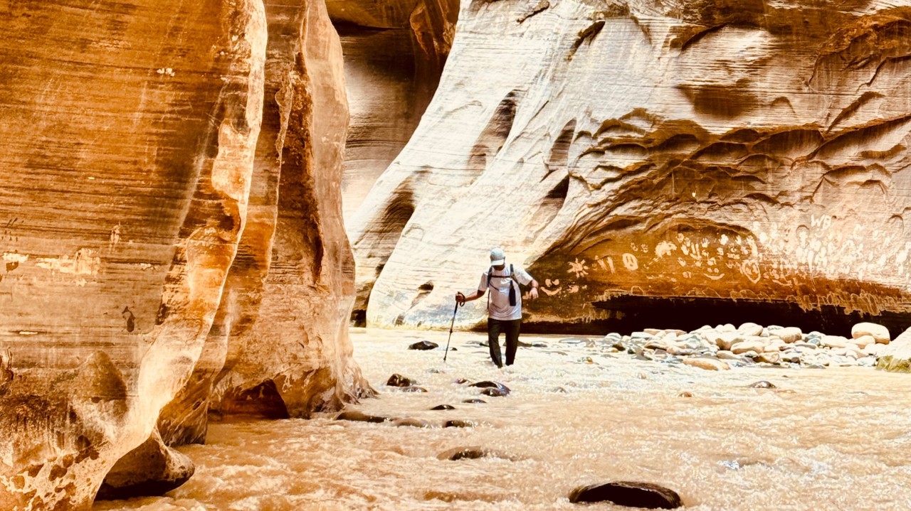 A hiker using a pole in a river between the canyon walls of The Narrows