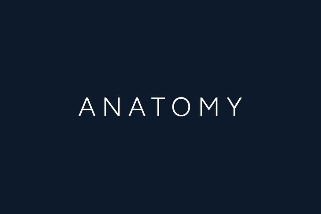 Anatomy Financial