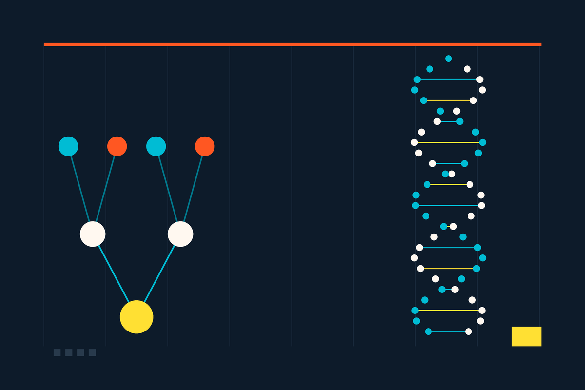 Swiss-style graphic of a family tree of connected nodes beside a DNA double helix