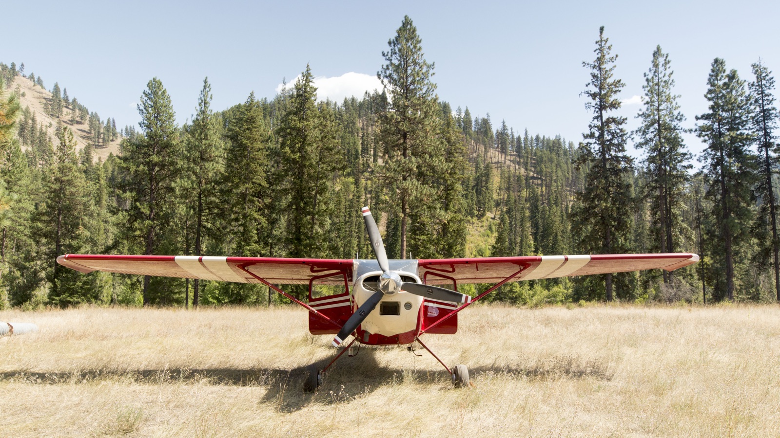 Red and cream Cessna 180 parked on a grass airstrip among pine trees in Idaho