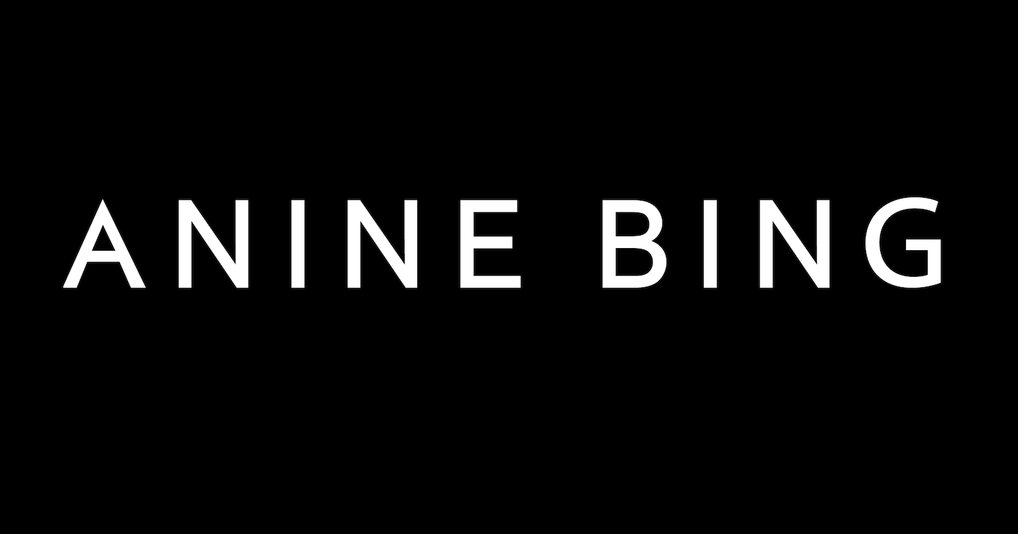 ANINE BING logo