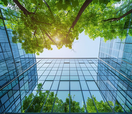 Green trees reflected between glass commercial buildings