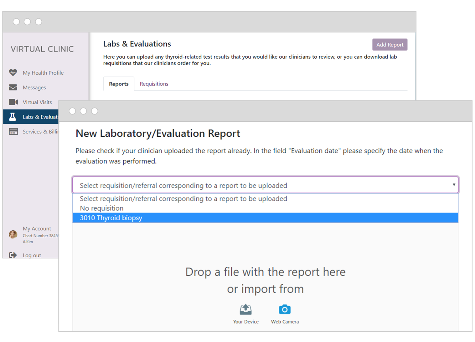 Screenshot of the virtual clinic’s patient portal and evaluation interface