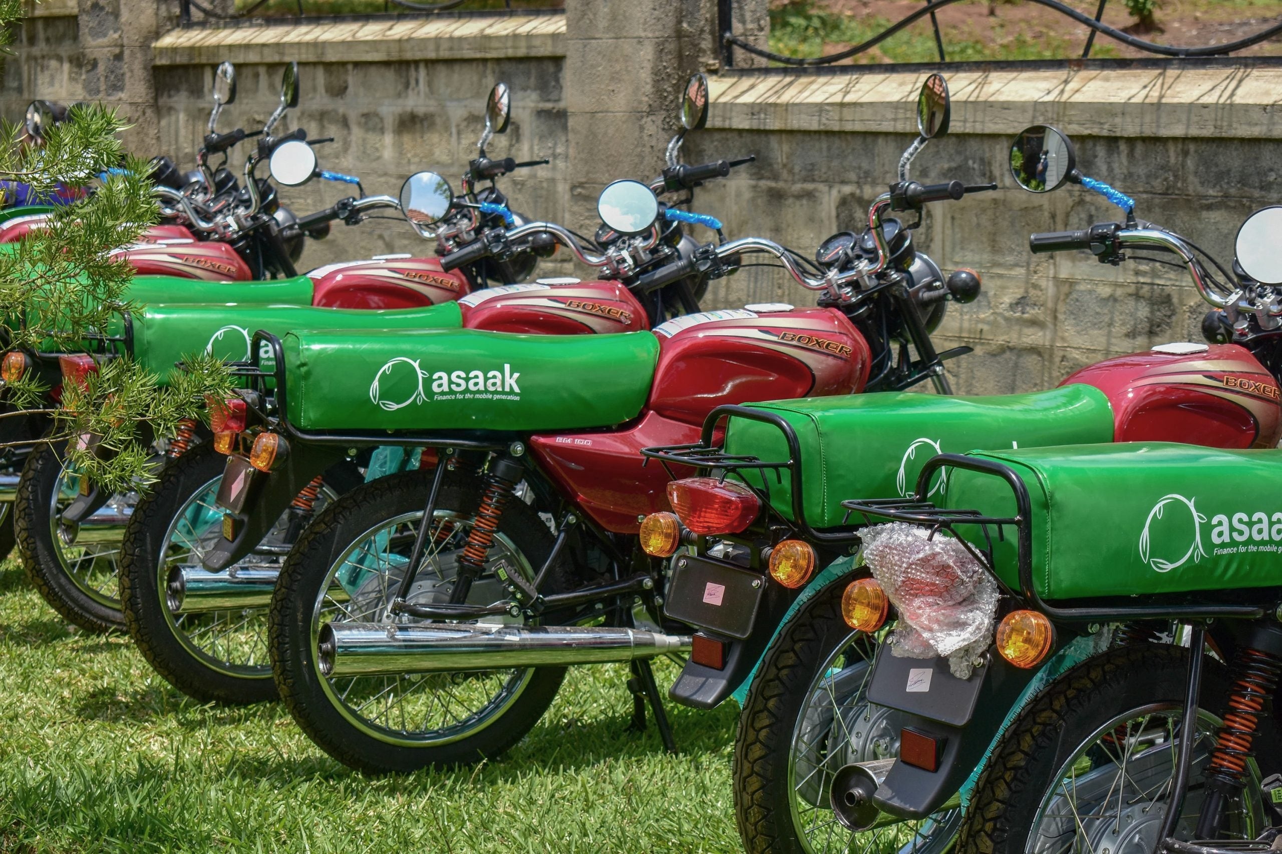 A row of red motorcycles with green Asaak-branded covers parked outdoors