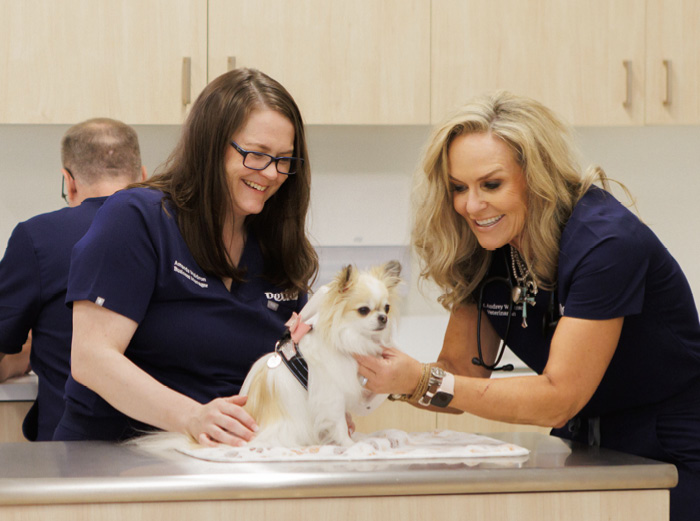 Audrey Wystrach and Amanda Waldron examine a small dog on an exam table