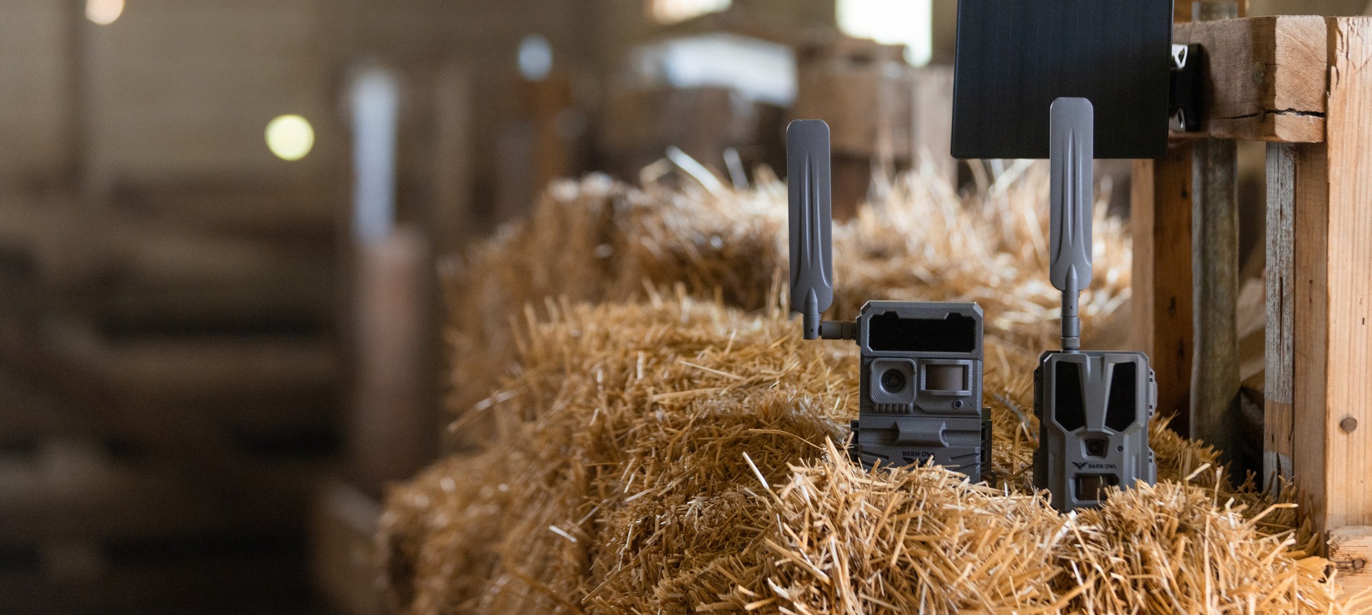 Two Barn Owl cameras with antennas and solar panels set on hay bales inside a barn