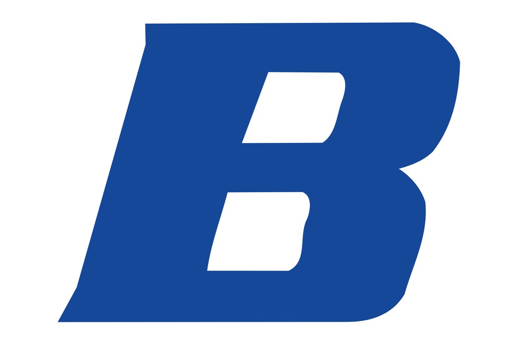 Baxter International Inc.
