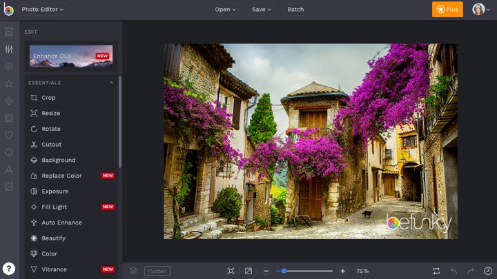 The BeFunky Photo Editor interface open in a browser, editing a photo of a flower-covered street