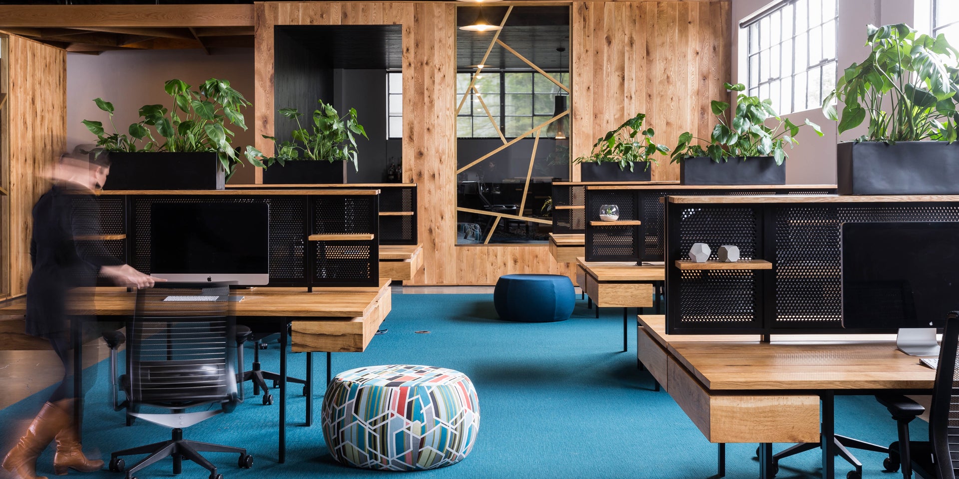 BeFunky's office: reclaimed-wood desks, iMacs, teal carpet, and a lot of houseplants