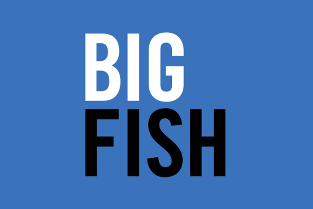 BIG FISH PR