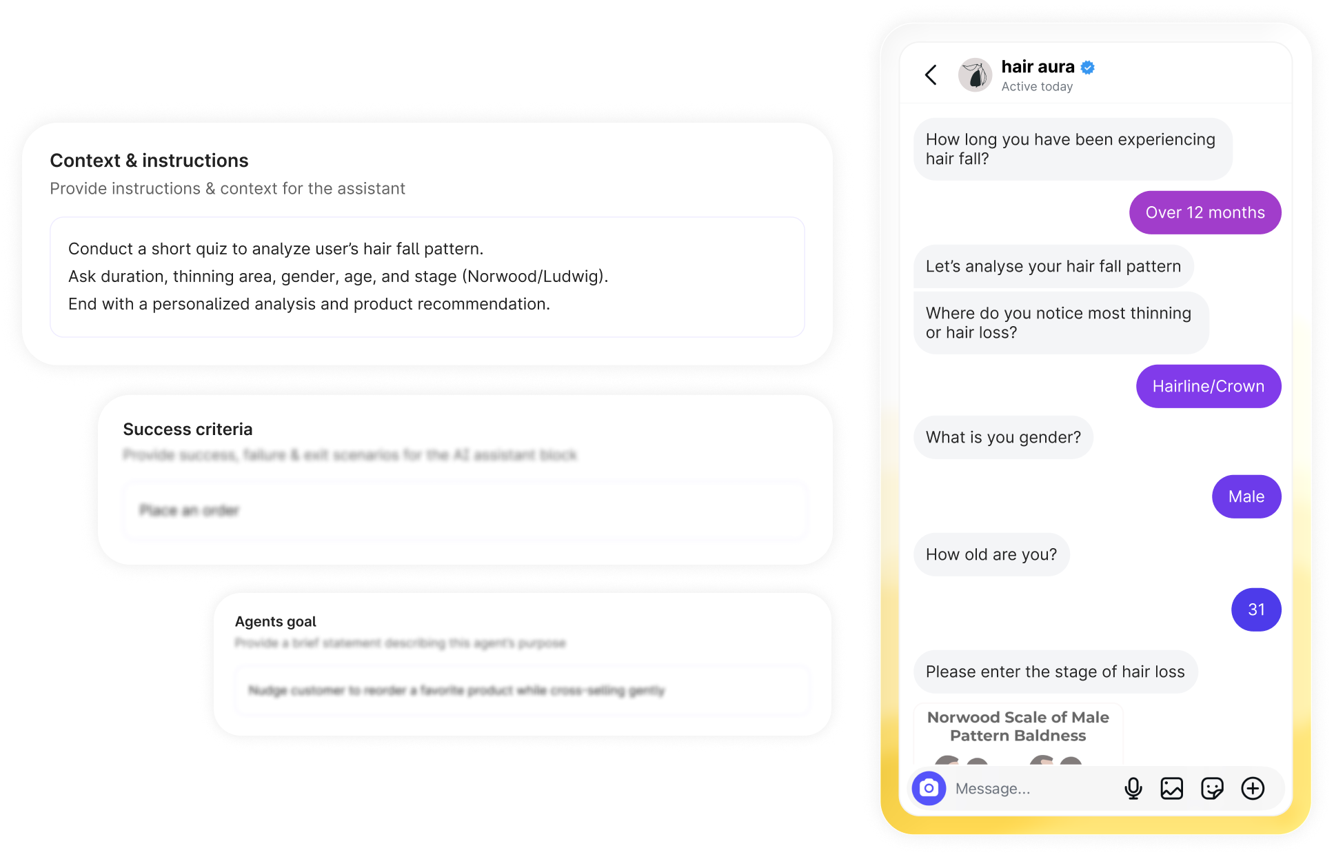 Bik.ai agent setup alongside a sample customer conversation