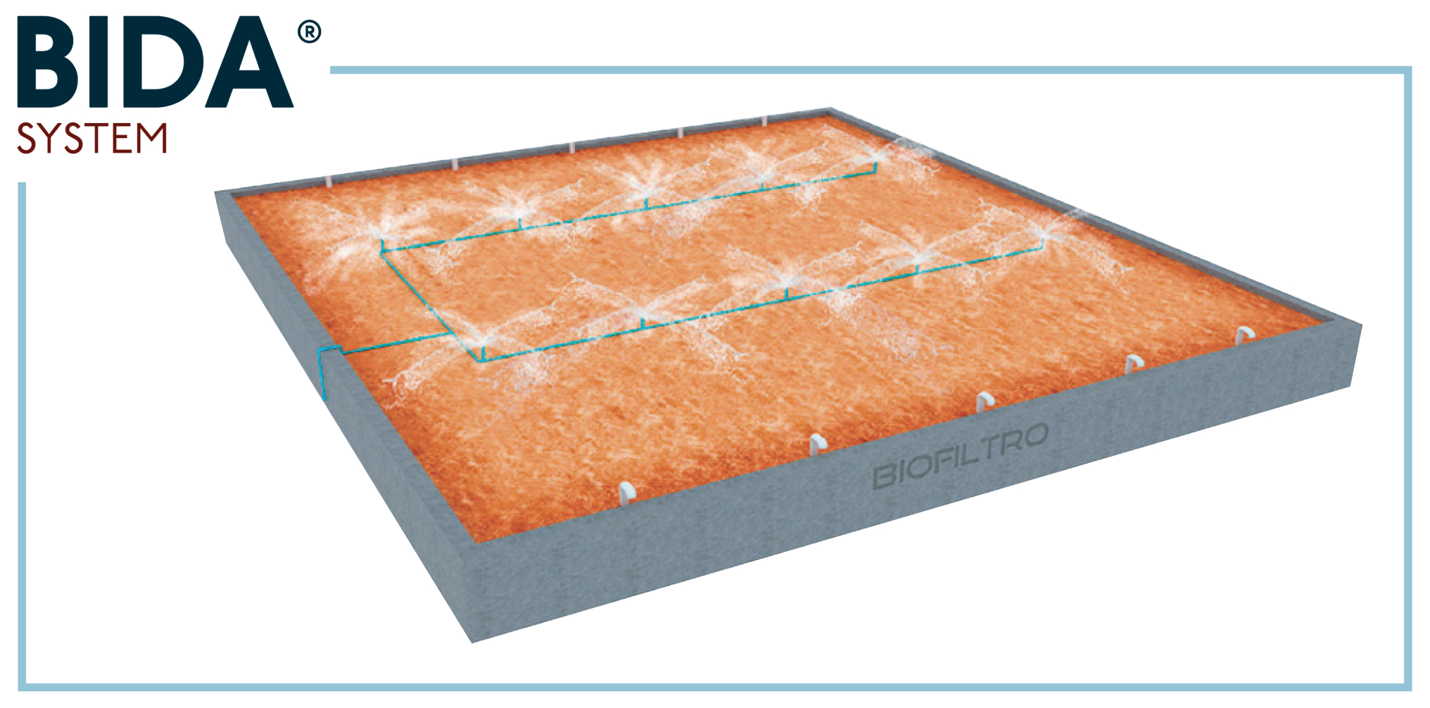 Illustration of BioFiltro's rectangular BIDA wastewater treatment bed with irrigation lines