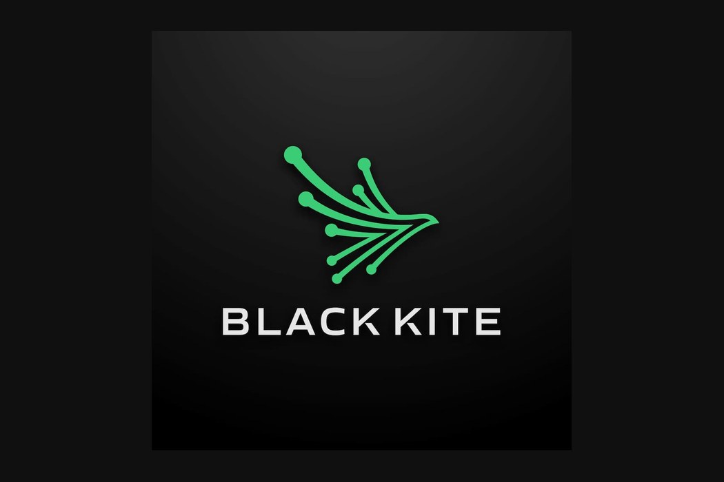 Black Kite