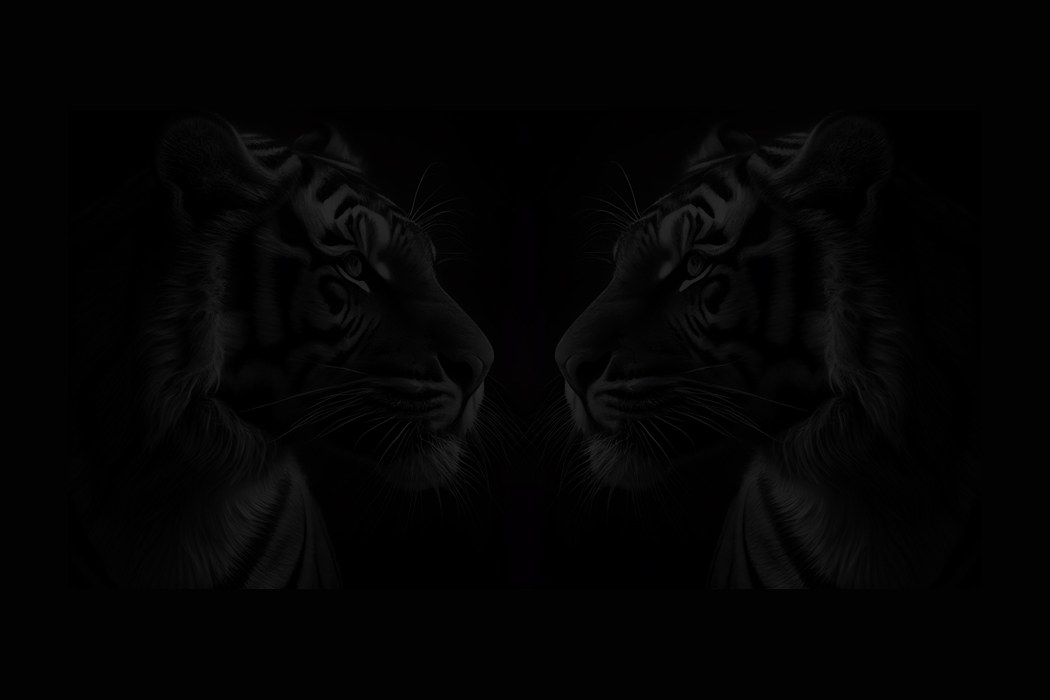 Black Tiger