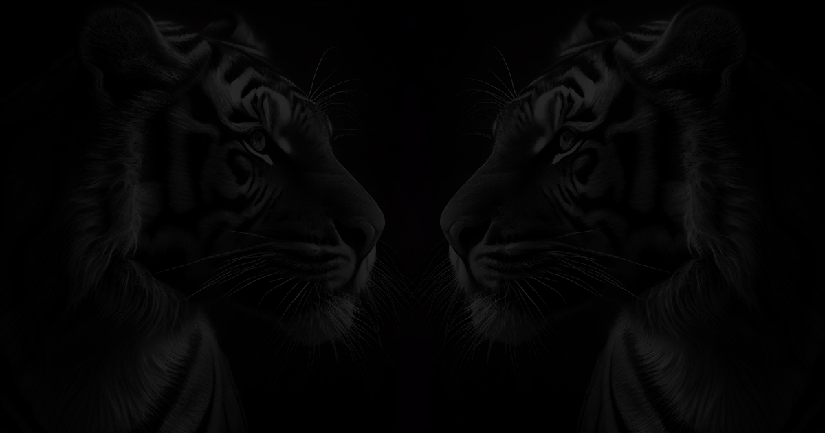 Black Tiger brand image
