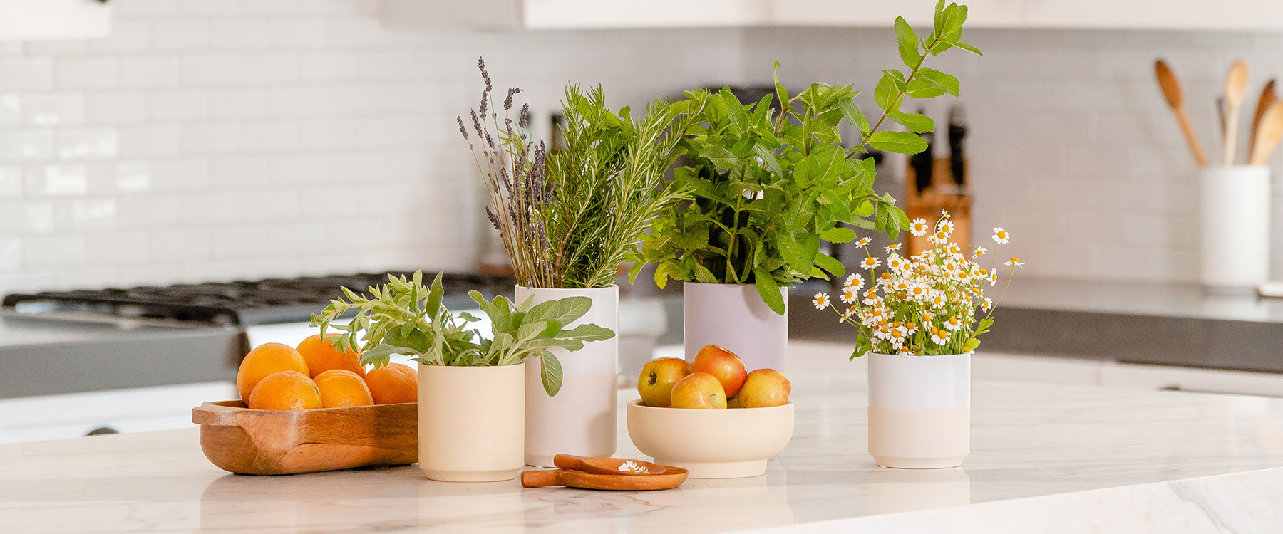Momma Pots ceramic vessels holding herbs and flowers on a kitchen counter