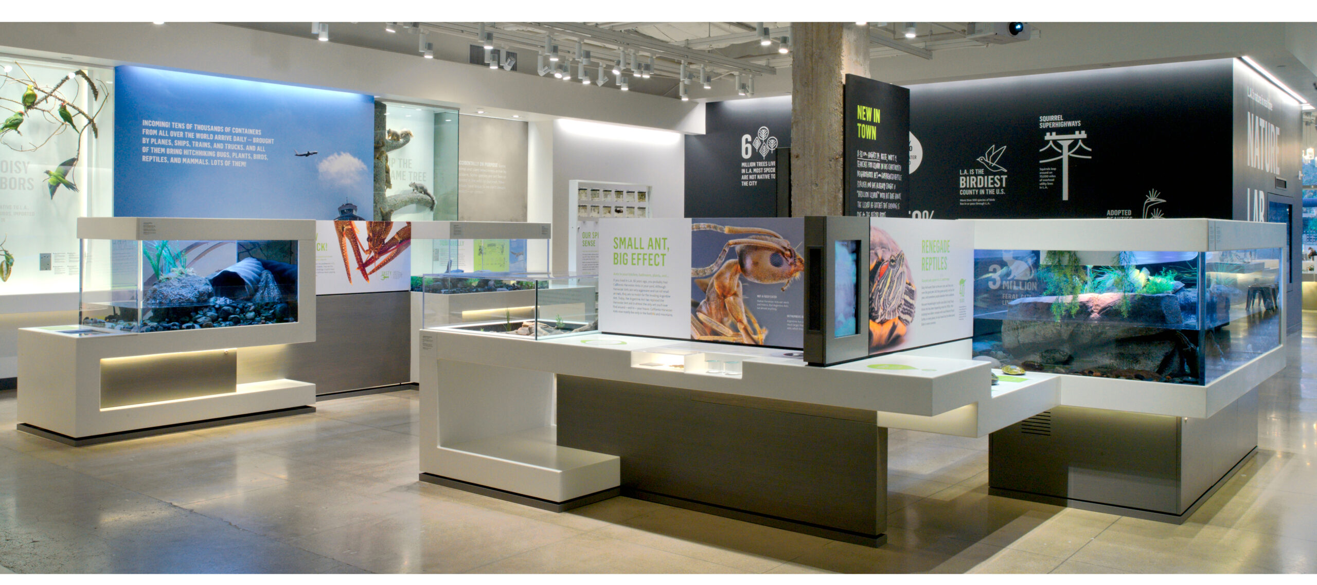 Nature Lab exhibit with large animal photographs, illustrated information panels and live-animal habitats