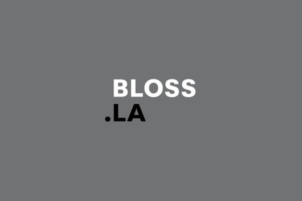 BLOSS makes the complicated city readable