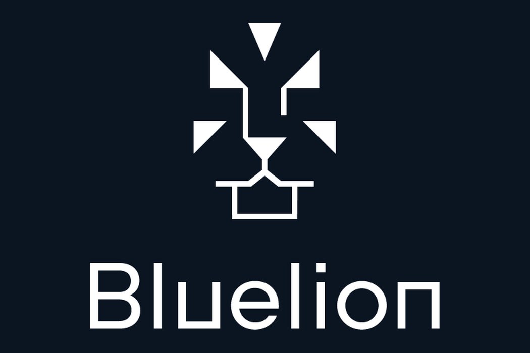 Bluelion asks for your time. Your equity stays yours.