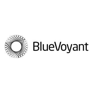BlueVoyant logo
