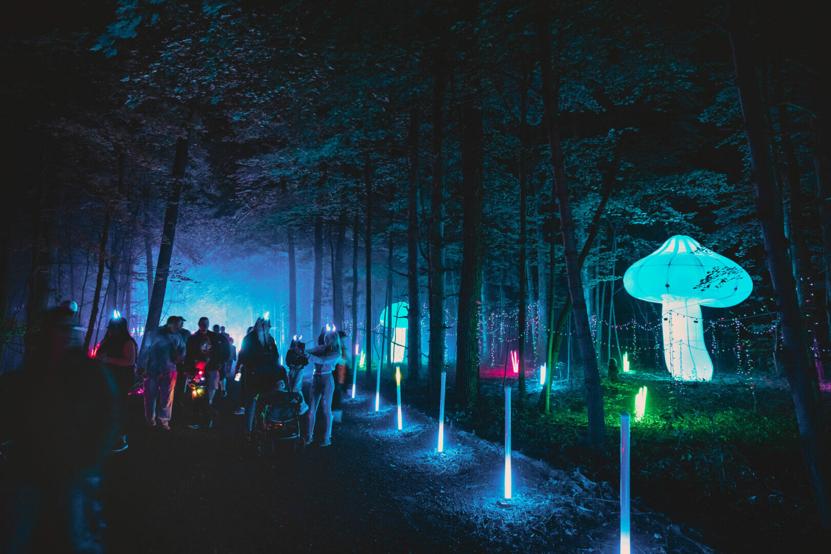 Visitors walking among illuminated mushrooms and blue-lit trees at Glenlore Trails