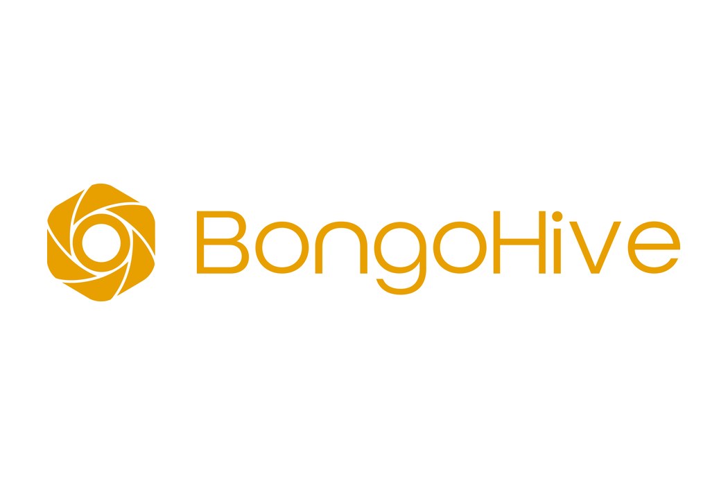 BongoHive Technology and Innovation Hub