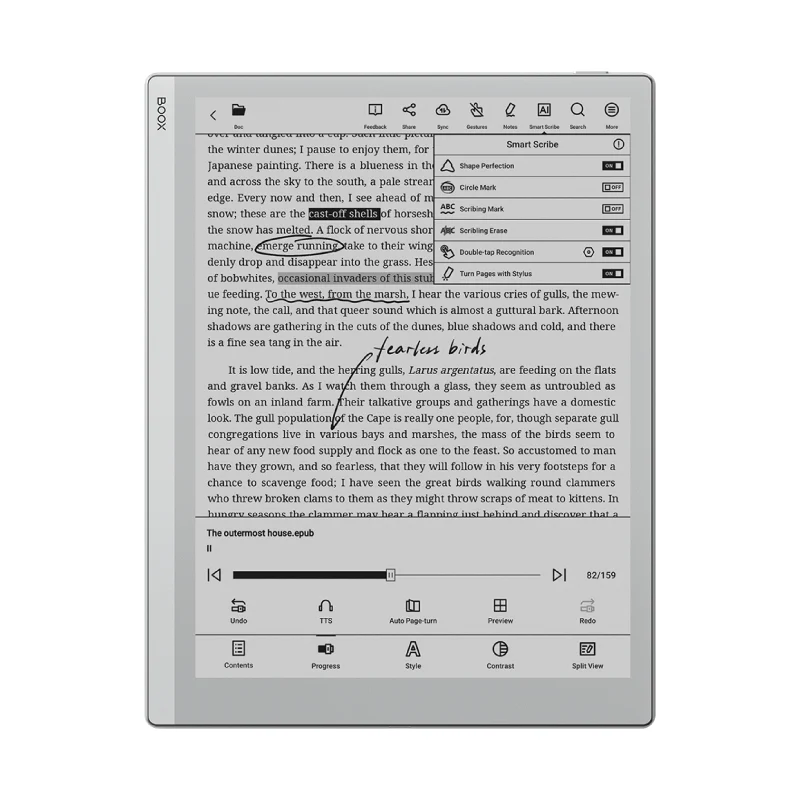 BOOX Go 10.3 showing a marked-up document and Smart Scribe controls