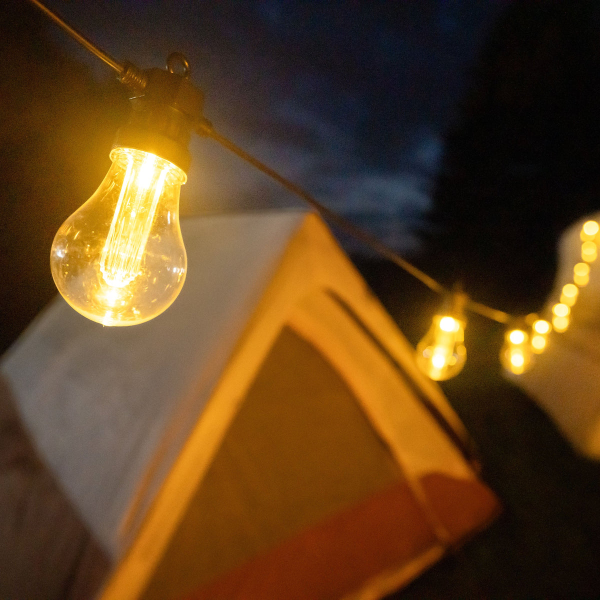 Brightz Edison-bulb LED string lights glowing warm against a dark background