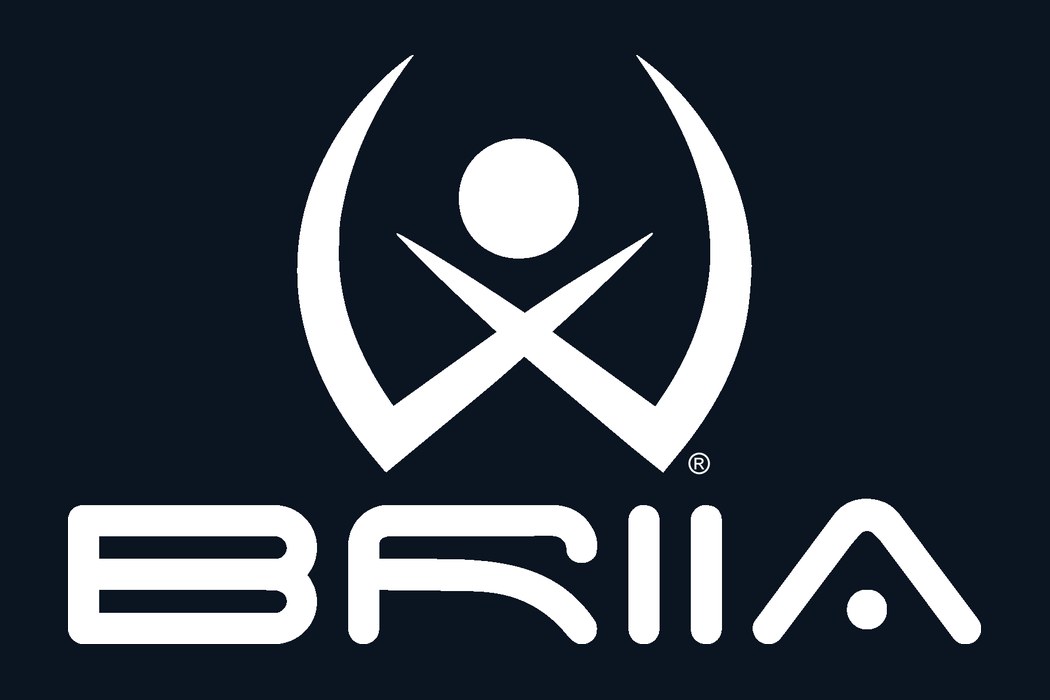 BRIIA® - The Intelligent Accelerator®