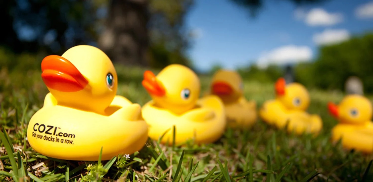 Cozi-branded yellow rubber ducks arranged in grass for the campaign