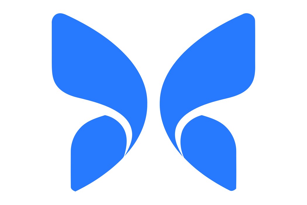 Butterfly Network