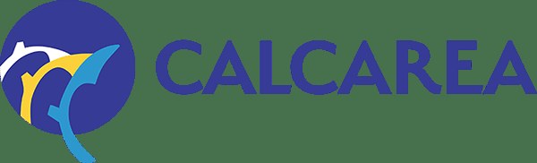 Calcarea