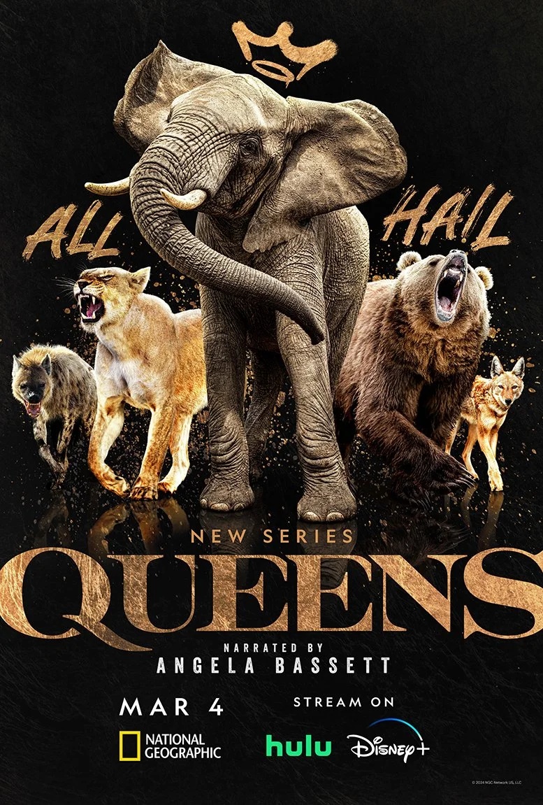 Canyon’s Queens campaign artwork groups an elephant, lioness, bear, hyena and wolf against black and gold