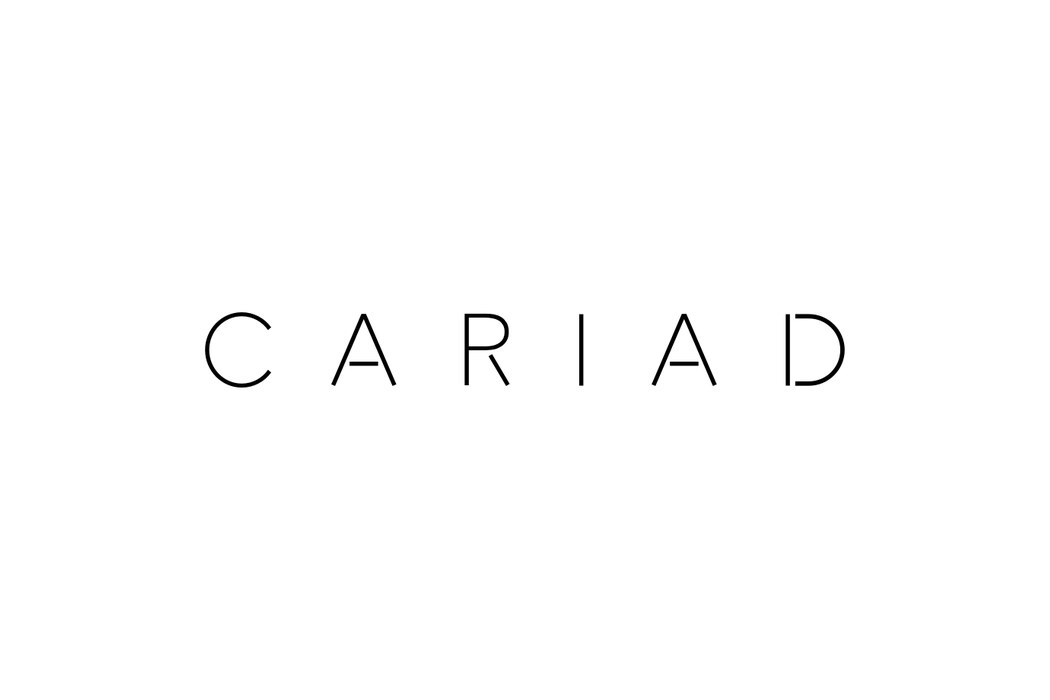 Volkswagen Tried to Build One Brain for Nine Car Brands. CARIAD Learned Where Not to Do It Alone