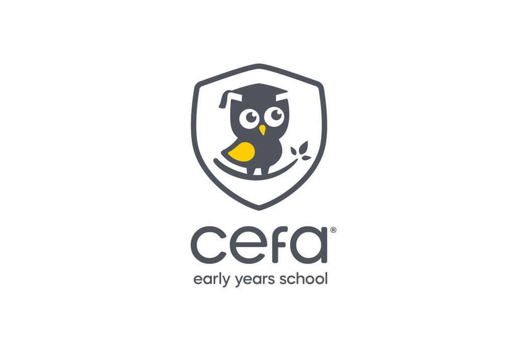 CEFA Turned Preschool Into a $2.5 Million Franchise - Here Is the Lesson Plan