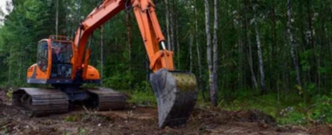 An orange excavator clearing vegetation in a wooded utility corridor