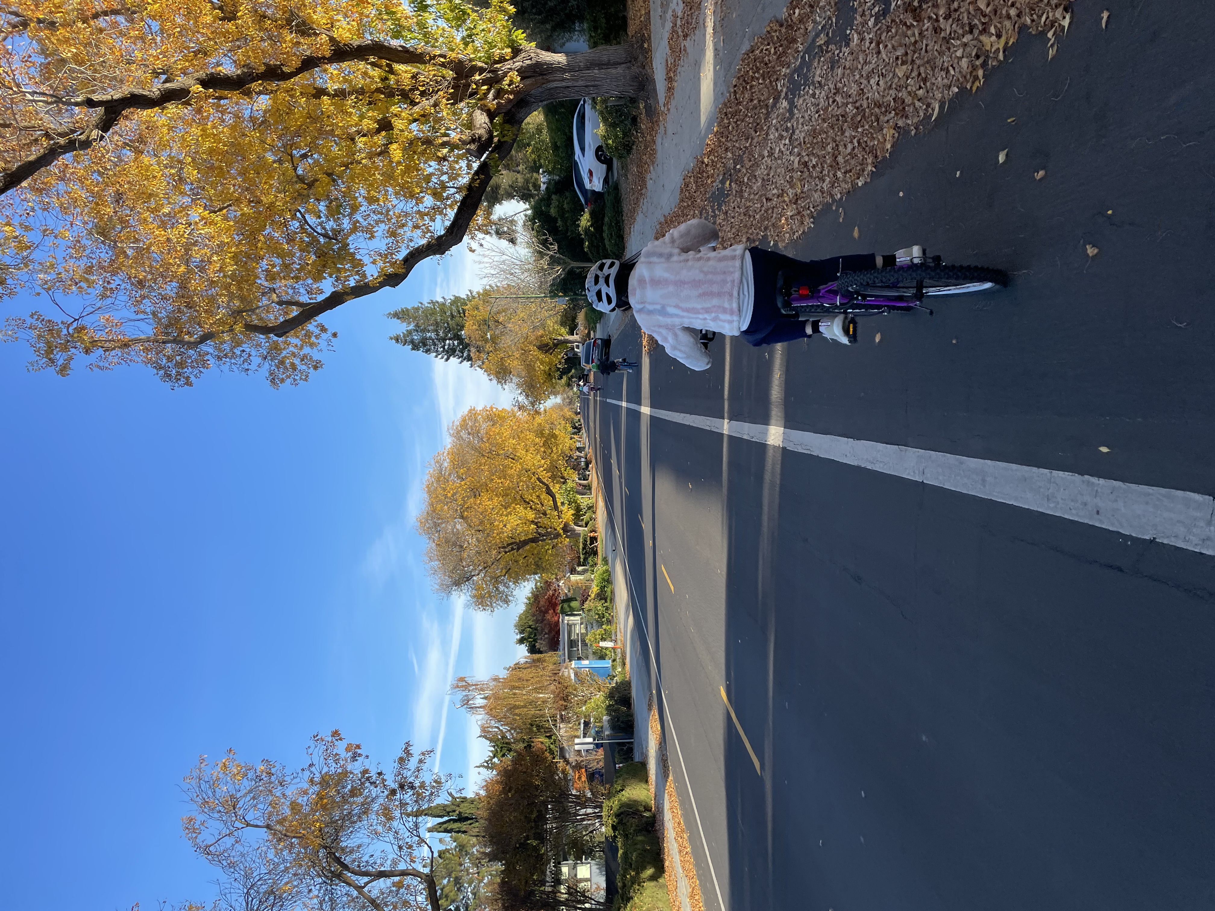 Children cycling along a tree-lined Palo Alto street in autumn